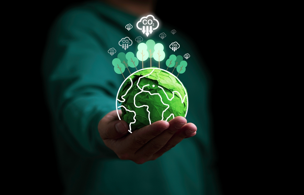 types of carbon investment
